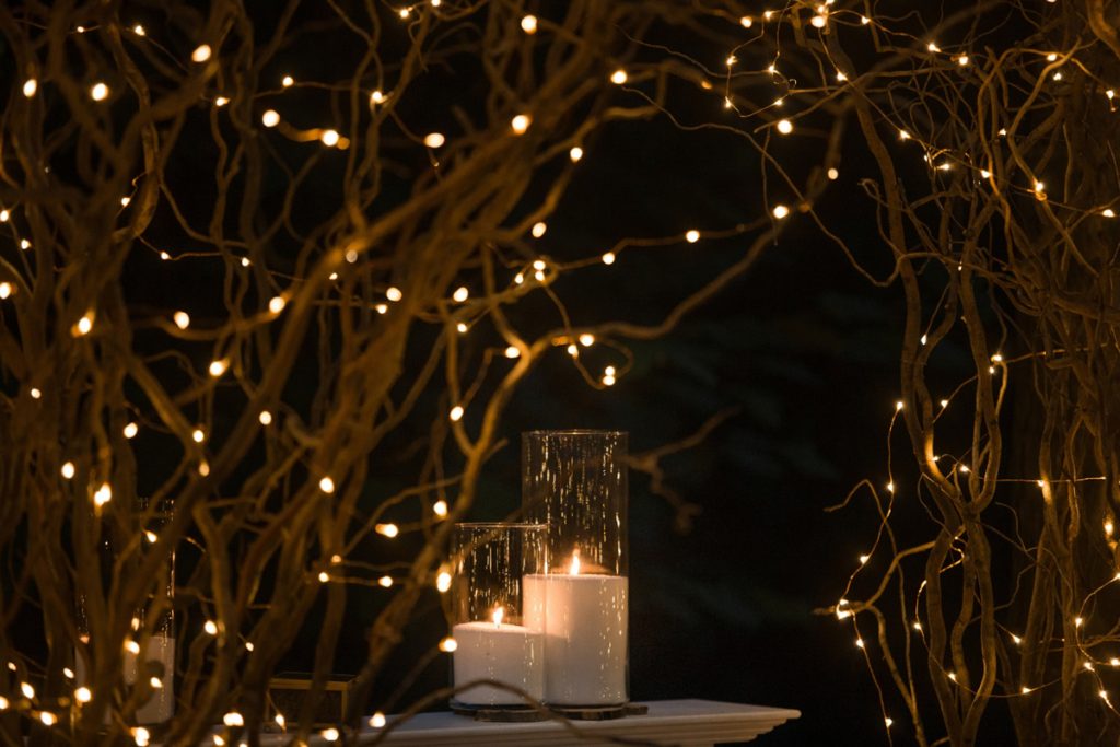 Garden Lighting Ideas